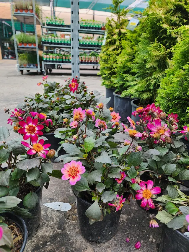 Nixa Hardware & Seed Company — photo from the business 11