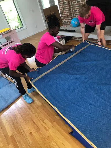 Pink Octopus Moving Co — photo from the business 3