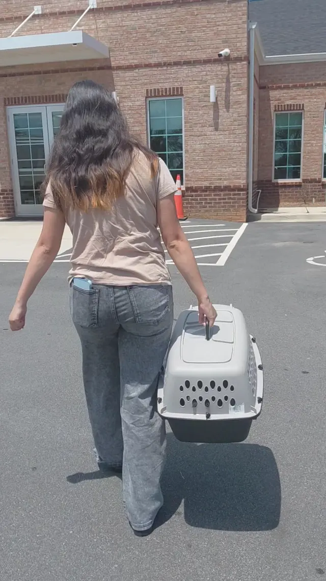 Customer photo of work by Dickson Animal Clinic, from Carolina Marín's review