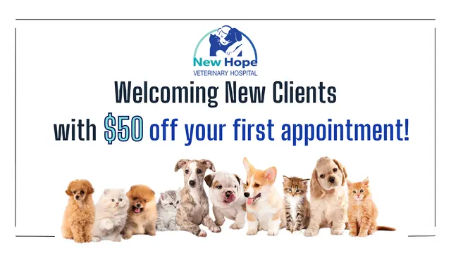 New Hope Veterinary Hospital — photo from the business 10