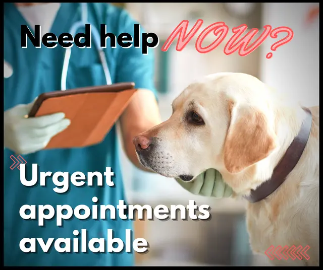 New Hope Veterinary Hospital — photo from the business 11