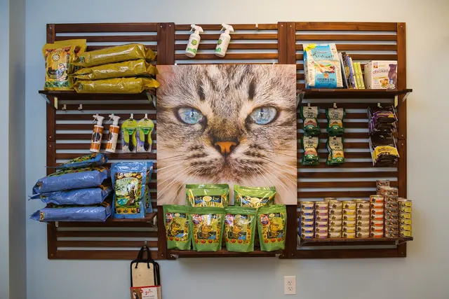Whole Pet Veterinary Hospital - Davidson — photo from the business 2