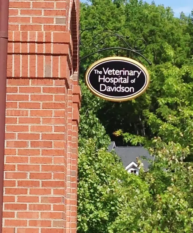 Whole Pet Veterinary Hospital - Davidson — photo from the business 1