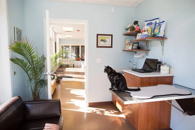 Whole Pet Veterinary Hospital - Davidson — photo from the business 5
