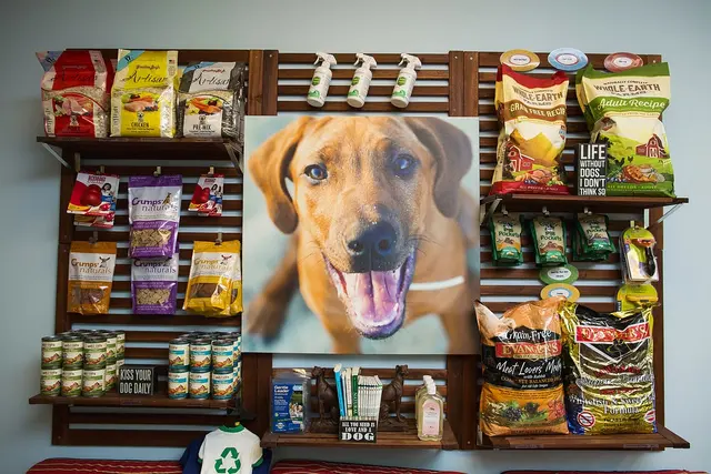 Whole Pet Veterinary Hospital - Davidson — photo from the business 11