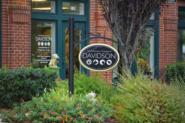 Whole Pet Veterinary Hospital - Davidson — photo from the business 10