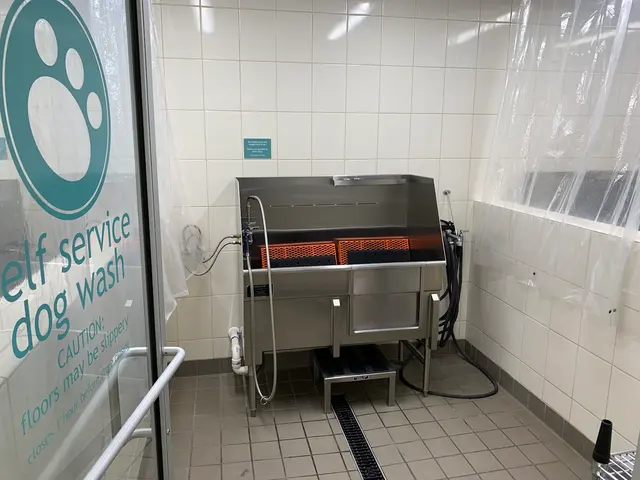 Hollywood Feed — photo from the business 8