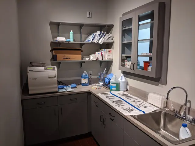 DownDog Veterinary Clinic — photo from the business 11