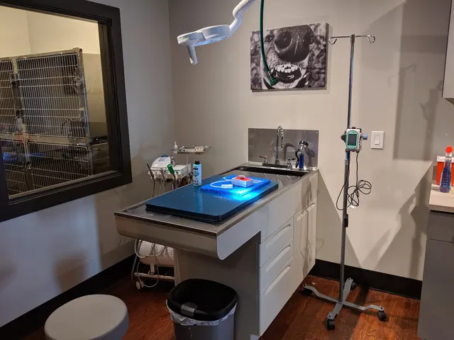 DownDog Veterinary Clinic — photo from the business 12