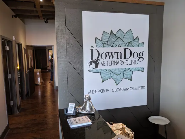 DownDog Veterinary Clinic — photo from the business 7