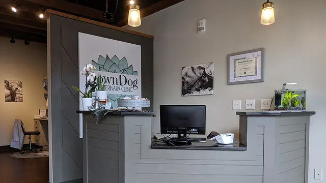DownDog Veterinary Clinic — photo from the business 3