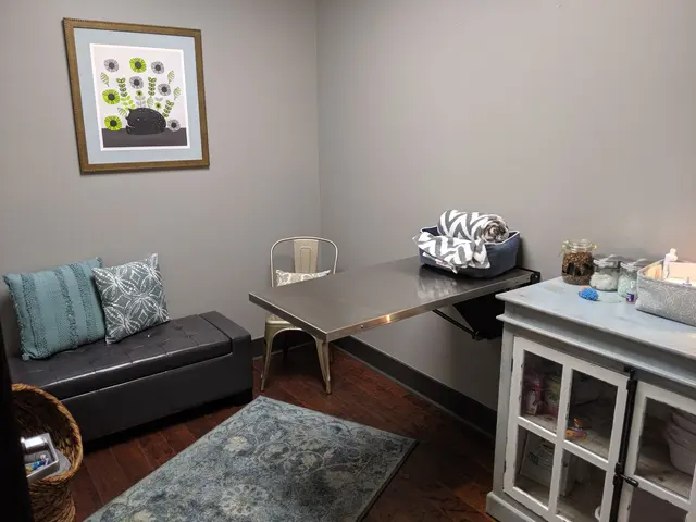 DownDog Veterinary Clinic — photo from the business 5