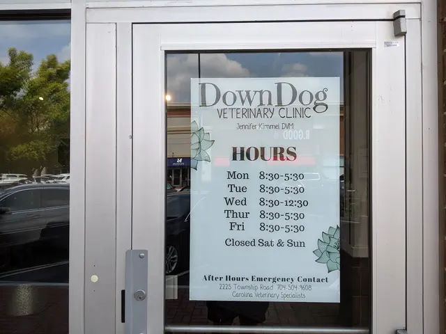 DownDog Veterinary Clinic — photo from the business 6