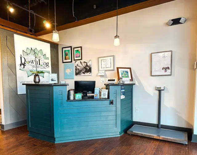 DownDog Veterinary Clinic — photo from the business 1