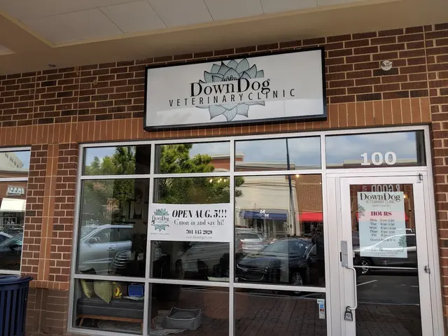 DownDog Veterinary Clinic — photo from the business 2