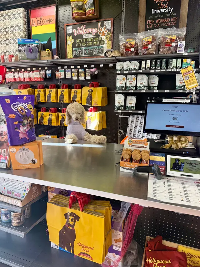 Hollywood Feed — customer photo 5