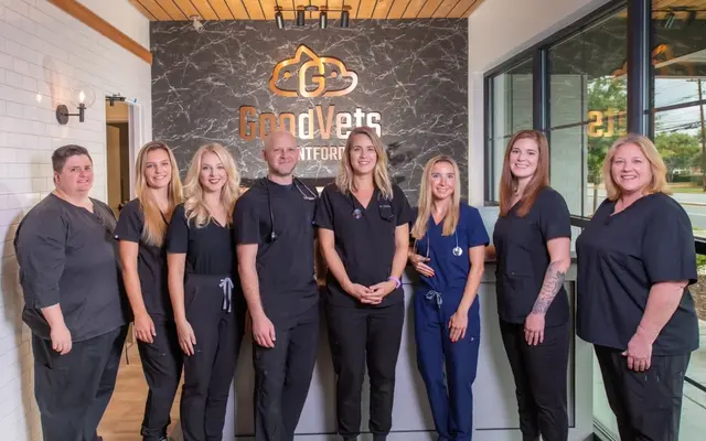 GoodVets Montford — photo from the business 11