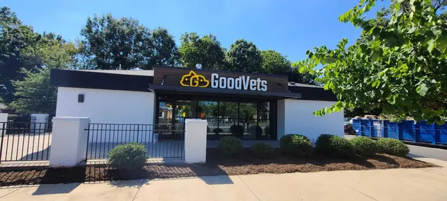 GoodVets Montford — photo from the business 6