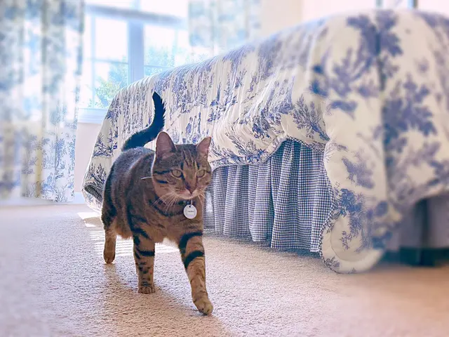 Delilah's Critter Care, LLC — photo from the business 5