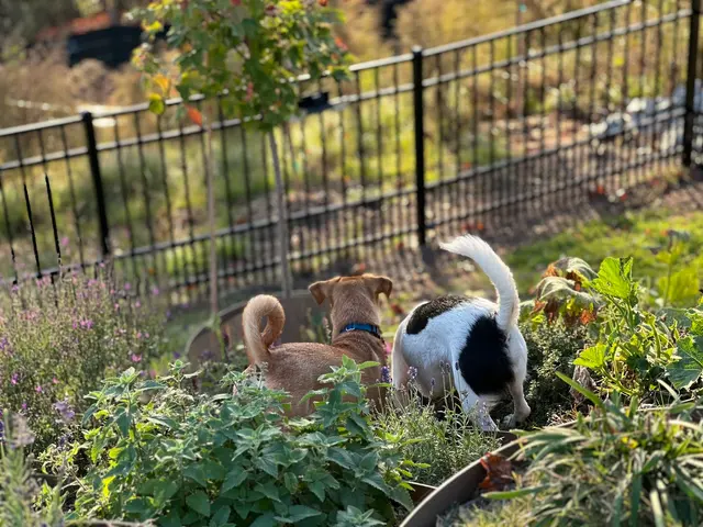 Delilah's Critter Care, LLC — photo from the business 3