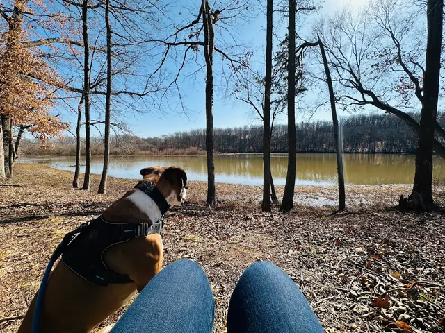 Delilah's Critter Care, LLC — photo from the business 8