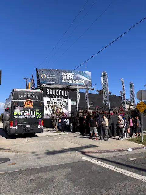 Broccoli Weed Dispensary — photo from the business 11