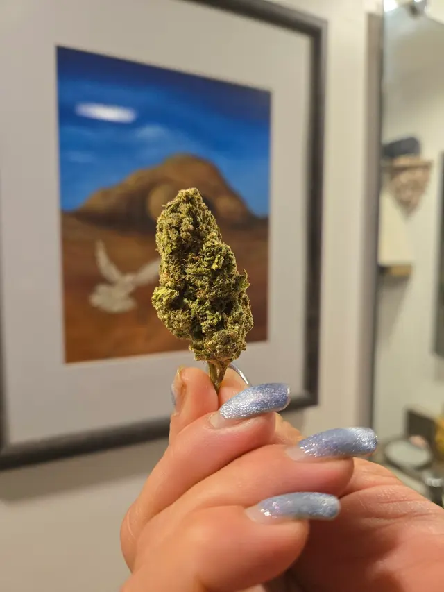 Weed Shop Hollywood — customer photo 8