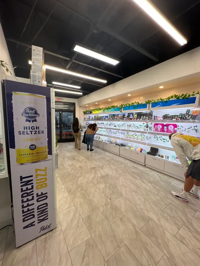Weed Shop Hollywood — customer photo 12
