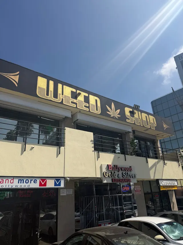 Weed Shop Hollywood — customer photo 3