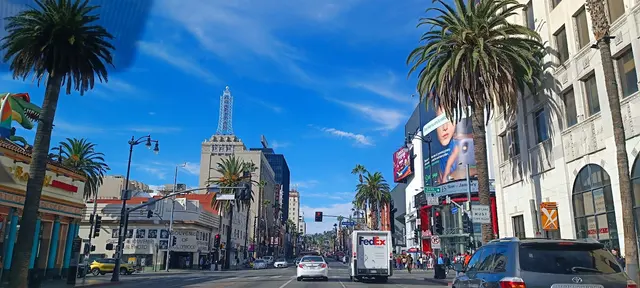 Weed Shop Hollywood — customer photo 7