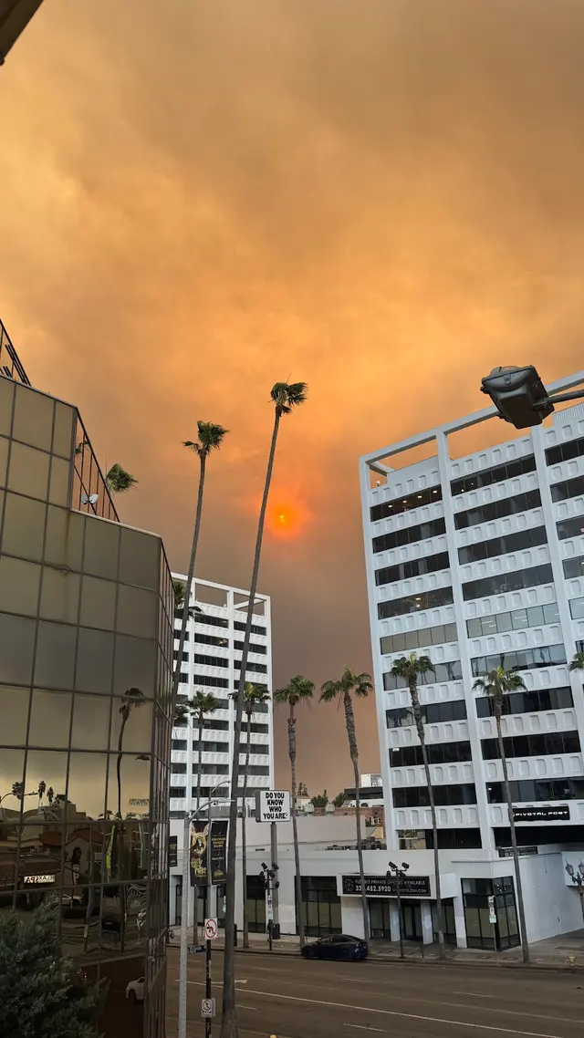 Weed Shop Hollywood — photo from the business 11