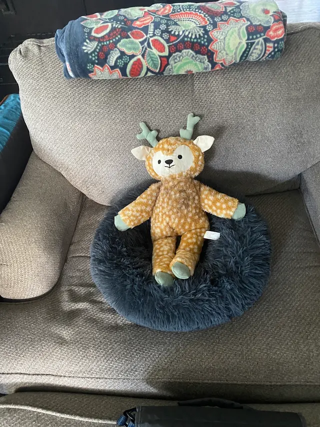 Customer photo from Dawn's review