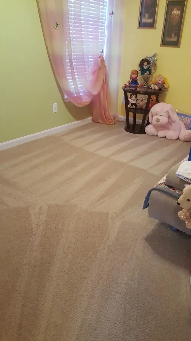 The Cleaning Authority - Cumming — customer photo 6