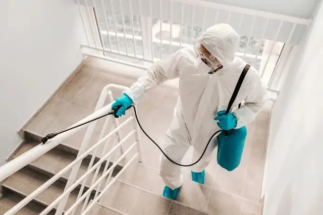 Clear Choice Home Cleaning Services LLC — photo from the business 7