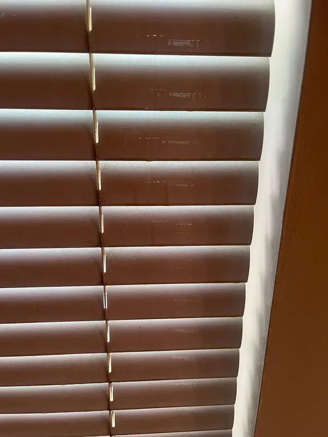 Clear Choice Home Cleaning Services LLC — photo from the business 1