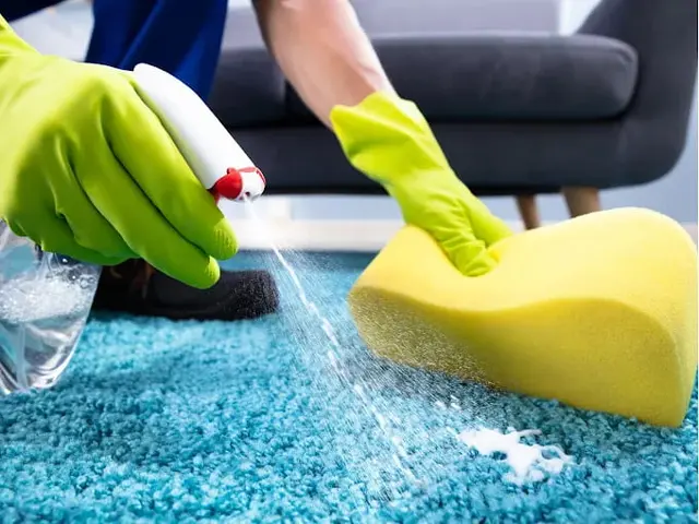 Clear Choice Home Cleaning Services LLC — photo from the business 5