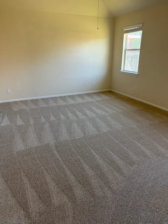 Amazon Cleaning — photo from the business 3