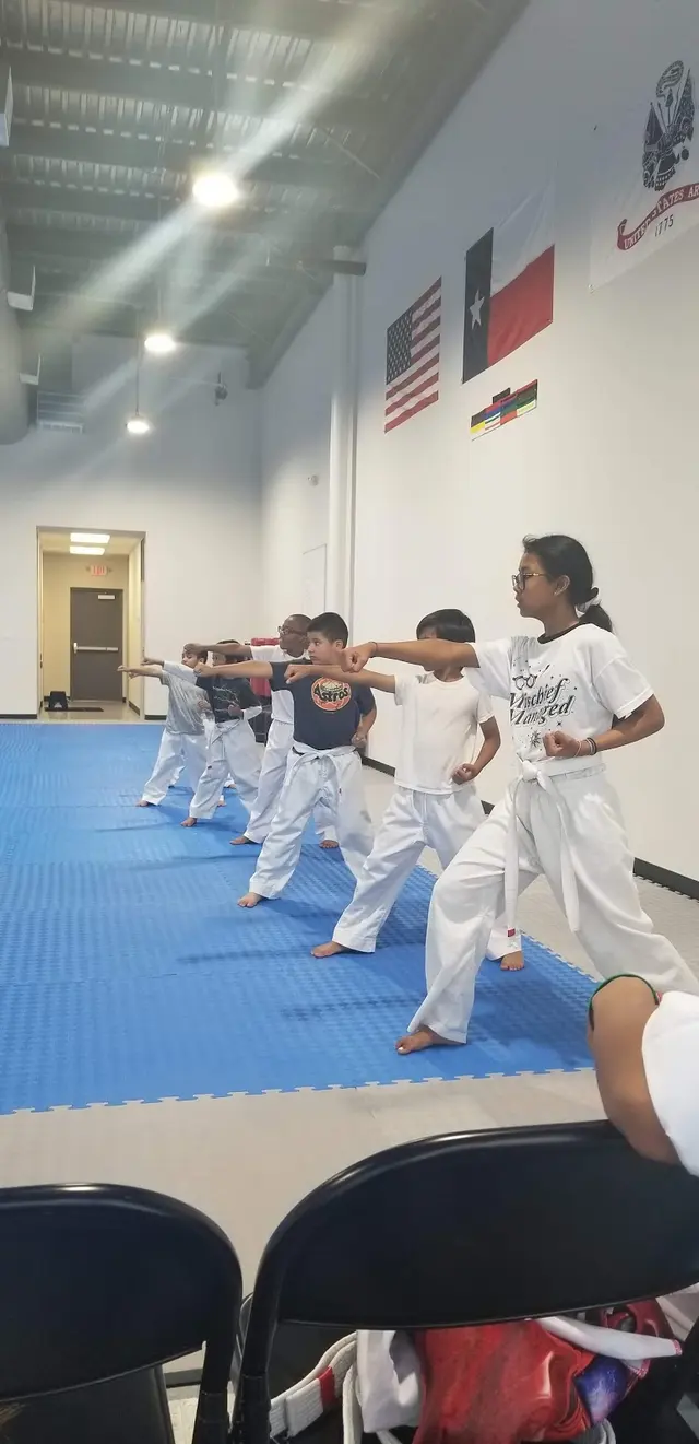 HC Taekwondo Pearland — photo from the business 5
