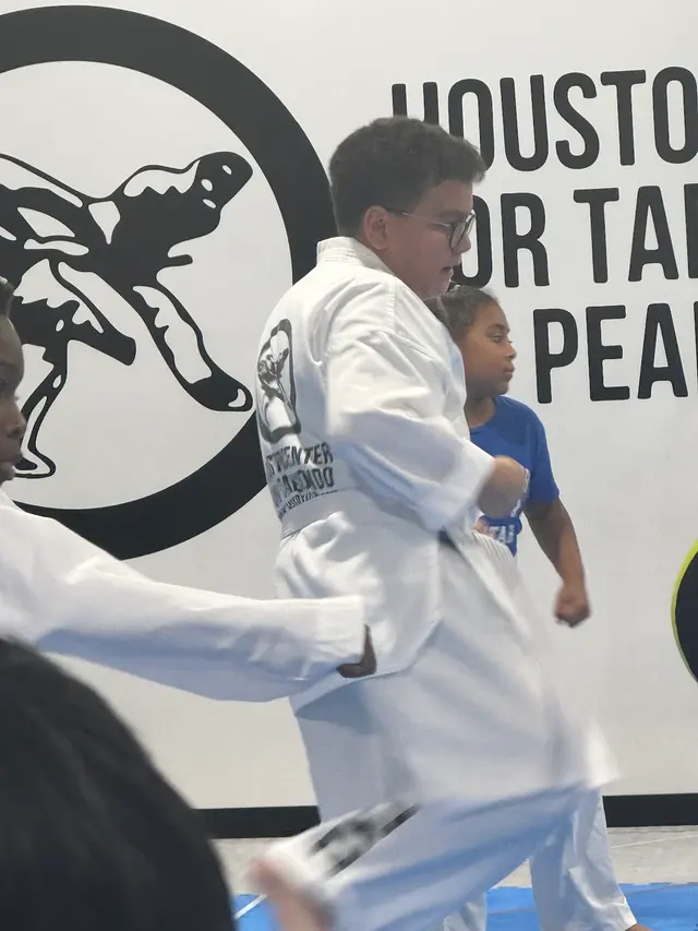 HC Taekwondo Pearland — customer photo 8
