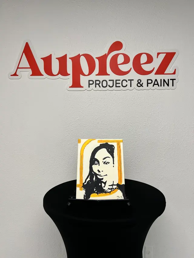 Aupreez - Project & Paint — customer photo 12