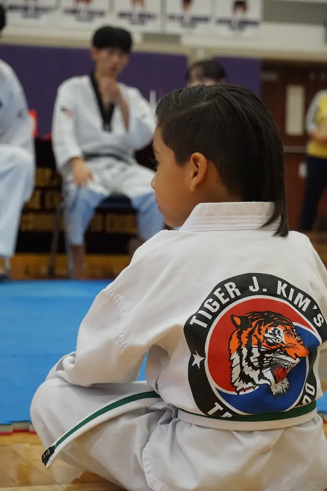 Tiger J Kim's World Class Taekwondo 4 — photo from the business 10
