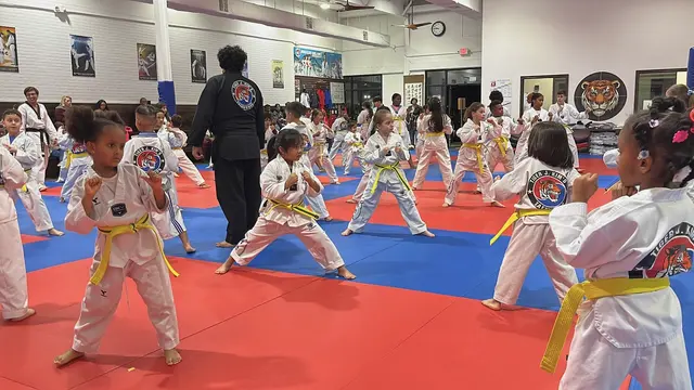 Tiger J Kim's World Class Taekwondo 4 — photo from the business 1
