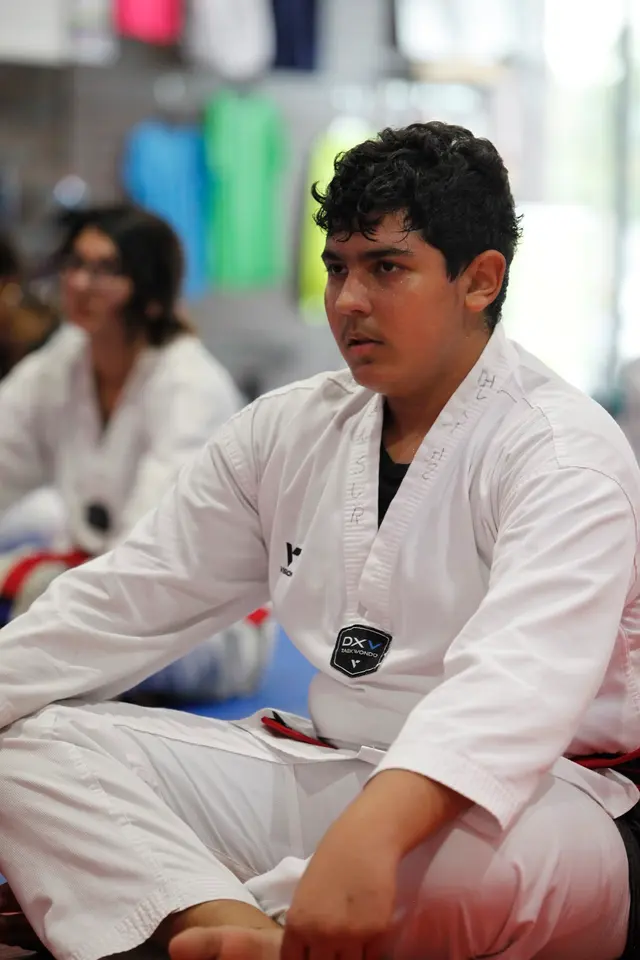 Tiger J Kim's World Class Taekwondo 4 — photo from the business 11