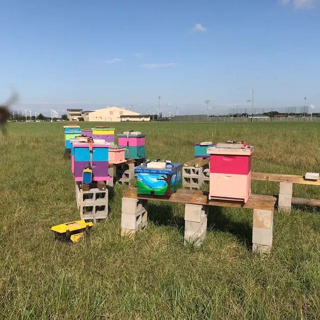 ART CAMP — photo from the business 2