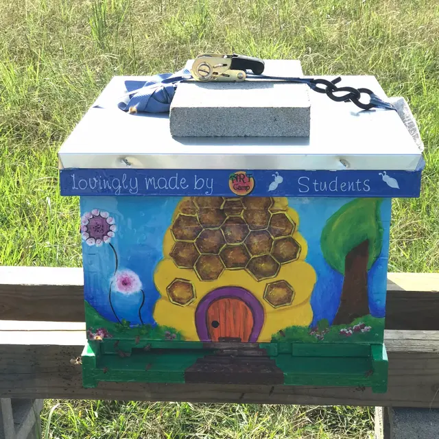 ART CAMP — photo from the business 12