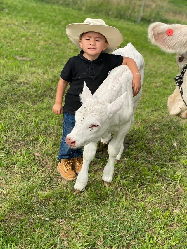 Tia Amelia's Daycare/Kathy’s Early Learning LLC — photo from the business 12