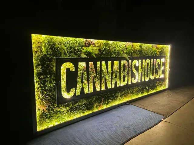 Cannabis House Marijuana and Weed Dispensary — photo from the business 12