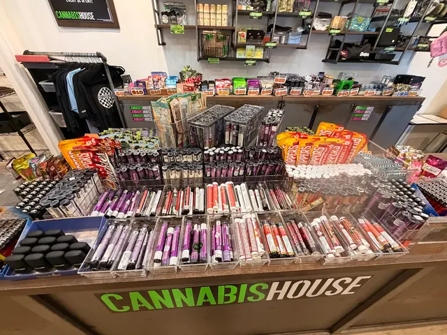 Cannabis House Marijuana and Weed Dispensary — photo from the business 3