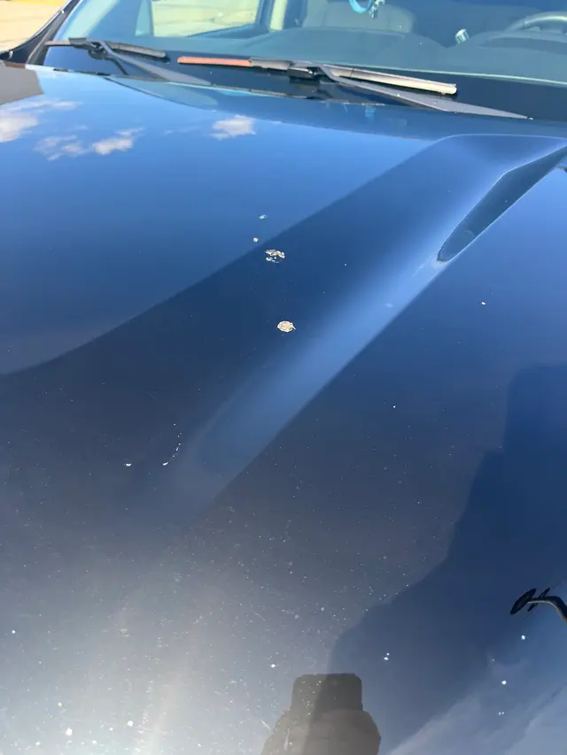 Mr. Magic Car Wash - Brentwood — customer photo 7