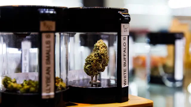 Green Earth Co. Weed Dispensary — photo from the business 2